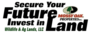 [ Secure Your Future - Invest in Land ]
